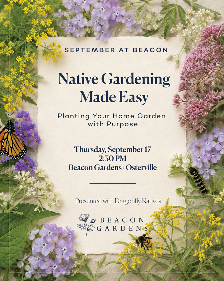 Native Gardening Made Easy + Native Plant Kit