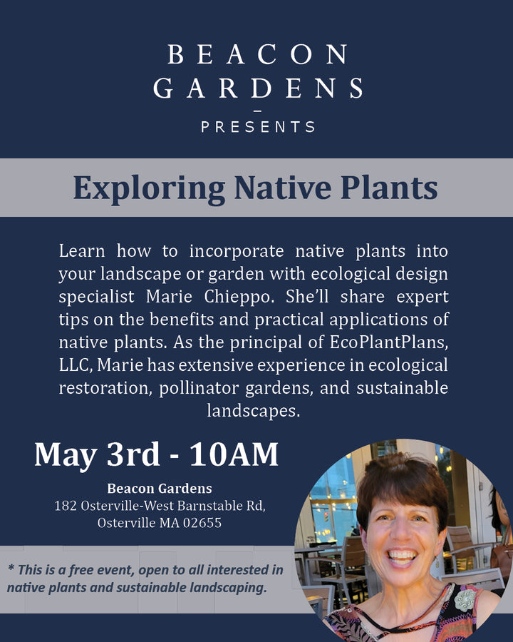 Exploring Native Plants