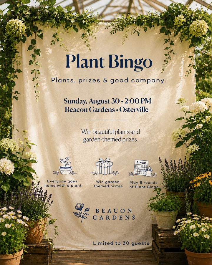 Plant Bingo • August 30