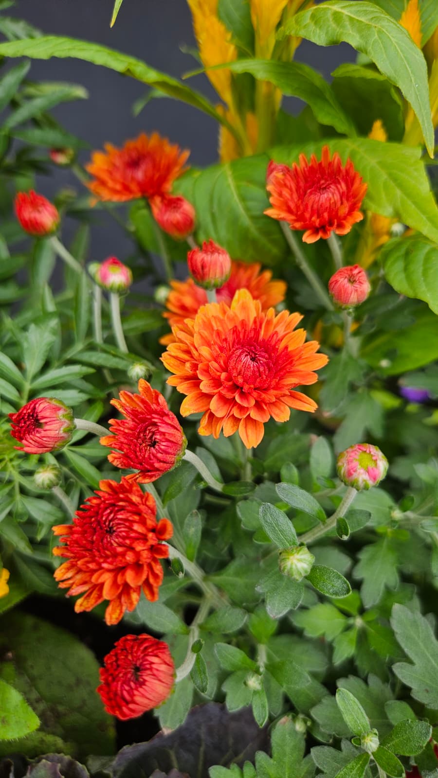 Fall Planter Workshop