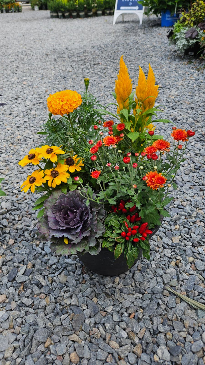 Fall Planter Workshop